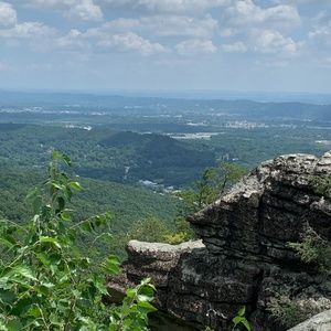 Meet your Posher, Cullen